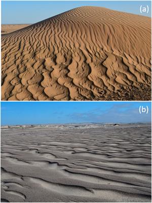 Editorial: Physics and Geomorphology of Sand Ripples on Earth and in the <mark class="highlighted">Solar System</mark>